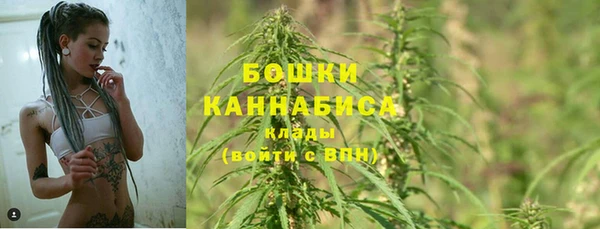 амф Богородицк