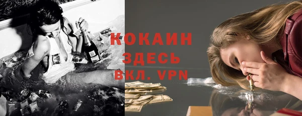 амф Богданович