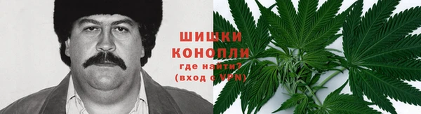 амф Богданович