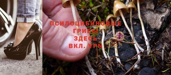 амф Богородицк