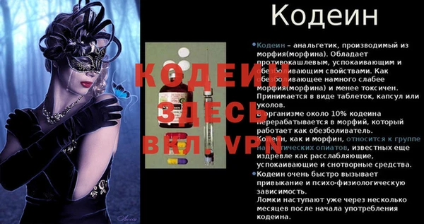 амф Богданович