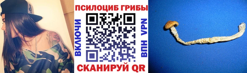 Псилоцибиновые грибы Magic Shrooms  это наркотические препараты  Оха 